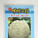 에버그린종묘