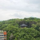 오도로화분 | 5월의 일상