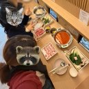 한아름도서관 | [후기] 2025 제62 전국도서관대회•전시회 ‘지식을 넘어 삶을 연결하는 우리 모두의 도서관&#39;_문헌...