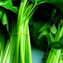 인제02-1 이미지