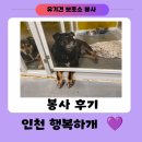 행복하개 | 1365 시간 인정되는 인천 유기견 보호소 행복하개 봉사활동 후기