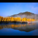 대구종합유통단지 산업용재관 이미지