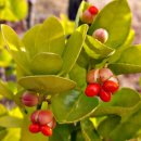 산책길에 이미지