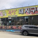 칠곡현지인맛집 참숯폭탄돼지구이 남율점 맛있는 고기먹으로 고고!