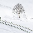 서정목장 이미지