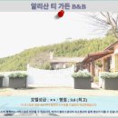 자이 여행 숙소 추천: 알리산 티 가든 B&amp;B 후기