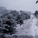 바우길 3구간 이미지