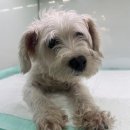 GS25부천내동점 이미지