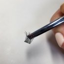 조은안경 | 가닥속눈썹 붙이기 쉬웠던 조은뷰티 미라클래쉬 E1 9mm 후기