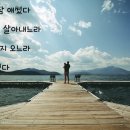 대진방역