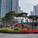 삼성s공인중개사사무소 이미지