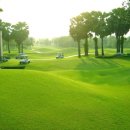 마스타골프 이미지