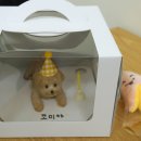 맛있댕 | 안산강아지케이크 맛있댕 전신케이크 주문제작 후기