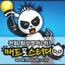 매드포스터디