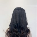 쁘띠헤어 이미지