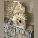 와르아르 이미지