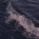 나의바다 이미지