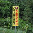 지장산 펜션 민박 | 포천 지장산계곡 경기도 가볼만한곳 추천 주차장...펜션 총정리 당일치기 물놀이 민박 방문후기 애견...