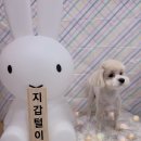 환해지개 이미지