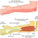 주관한의원 이미지