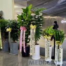 명플러스 약국 이미지