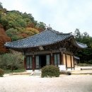 대불금강 | 호서제일가람(湖西第一伽藍), 보은 법주사