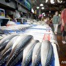 양동수산시장1 이미지