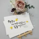 락앤락플러스