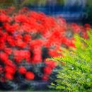 청라호수공원(제3주차장) 이미지