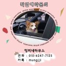 노리호텔 이미지