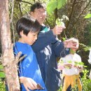 고라데이민박 이미지