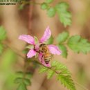 여항면사무소 이미지