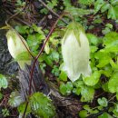 명기목장 이미지