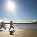 한국체대비전태권도장 이미지