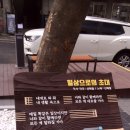 발이봉로3번길 이미지