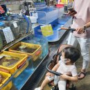 비고리조트 10 이미지