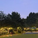 앤드퍼피 이미지