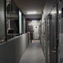 [일원1] 나도 부동산 전문가가 될 수 있다 | [도쿄 워홀] 집 구하기, 조건, 한인부동산 비추 후기(내용 추가)