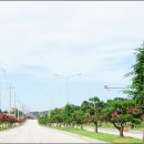 논산대로 이미지