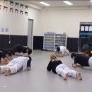 용인대 팔달 태권도장 이미지