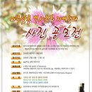 파주삼릉 이미지