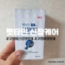 [제품 후기] 38.5 고양이 강아지 신장 요로 방광 영양제 "펫타민 신장케어" 솔직 후기