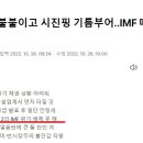 "레고랜드 불붙이고 시진핑 기름부어..IMF 때보다 심각" 이미지