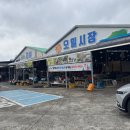 고성오조로 이미지