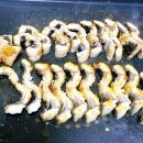 왔다강장어 이미지