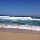 진고개계곡야영장 이미지