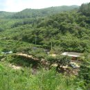 고동산민박 Daum카페