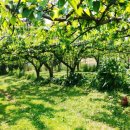 천지배농장 이미지