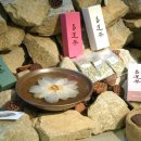 바이오굴바라