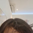 바름뷰티헤드스파